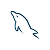 MySql Icon